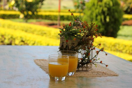Juice fruit garden