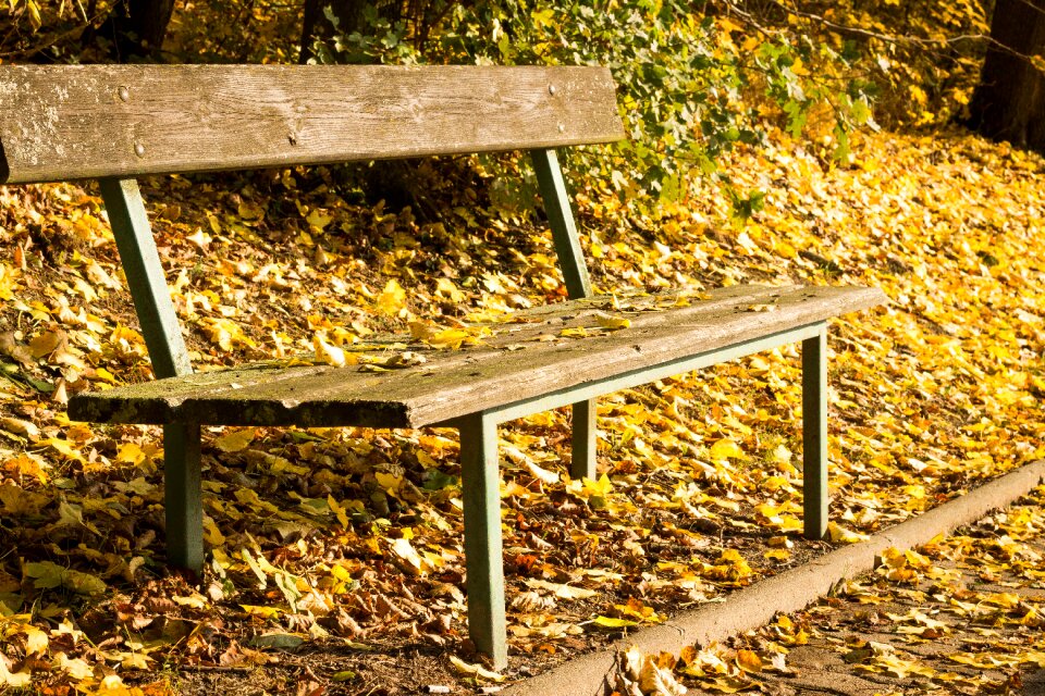 Bench session sit