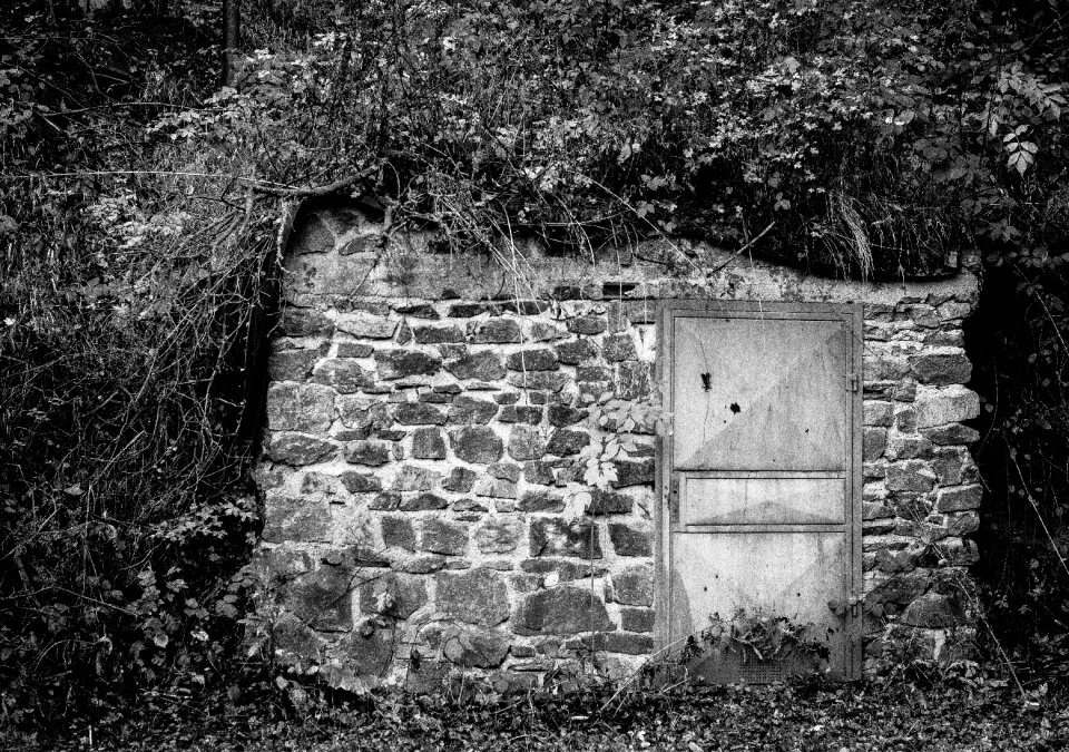 Forest black and white pillbox