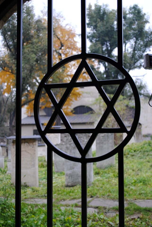 Memorial jewish cemetery david's star
