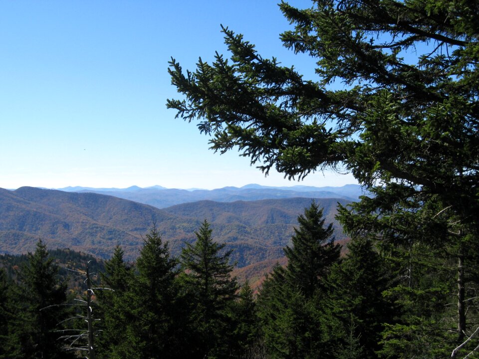 Fall landscape evergreen photo