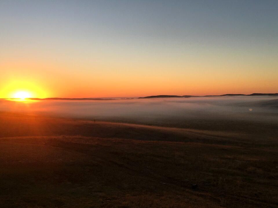 Fog happy