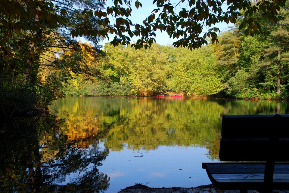 Nature bank mirroring