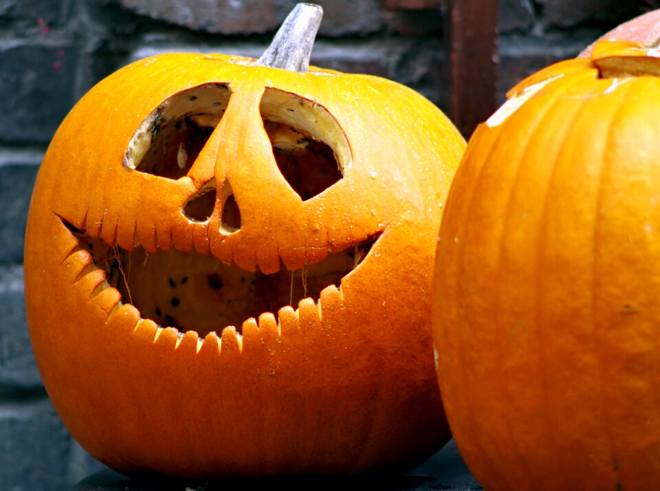 The feast of the dead terrible funny