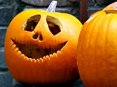 The feast of the dead terrible funny