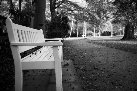 Rest nature park