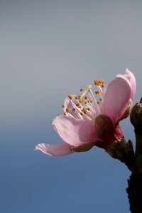 To empty hope macro
