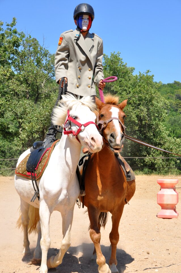 Costume nature equine