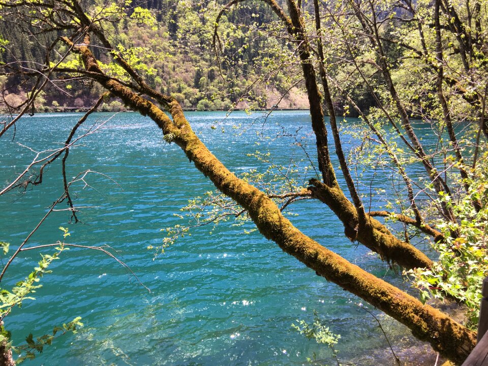 Jiuzhaigou sub-sea summer