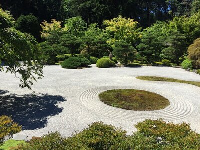 Oregon northwest botanical