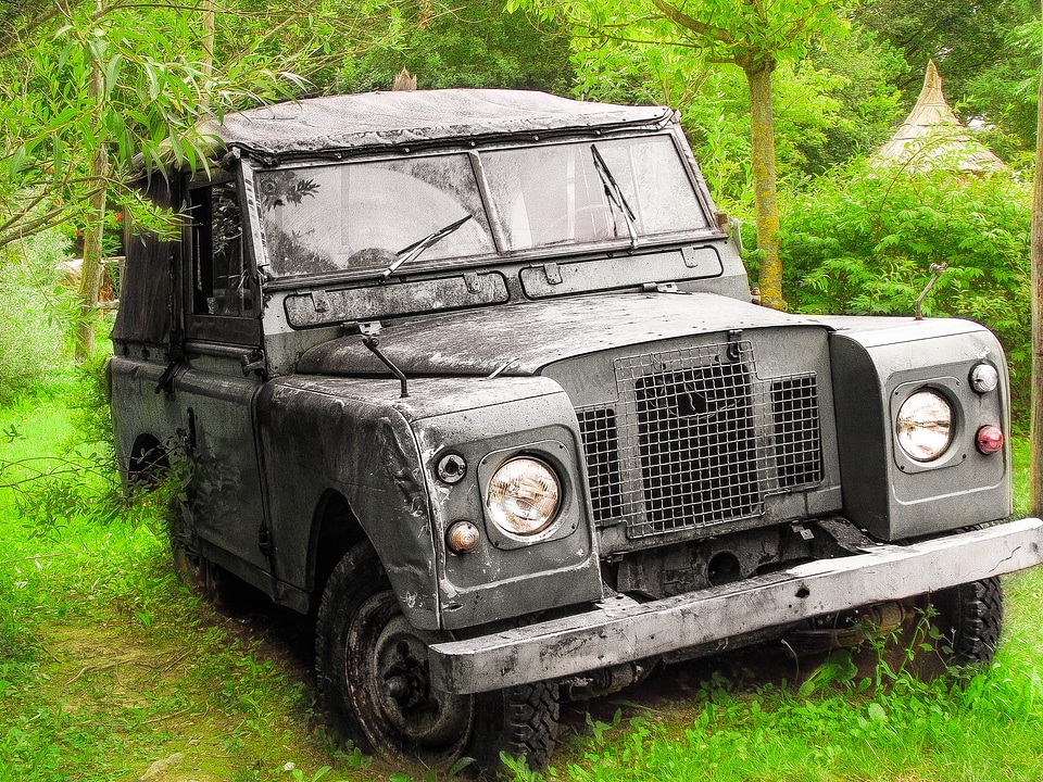 Safari green adventure