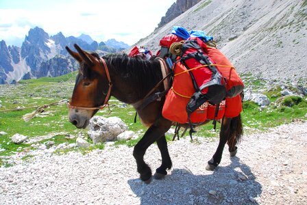 Nature italy trentino