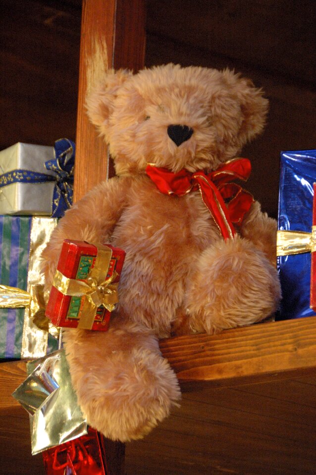 Christmas time december teddy