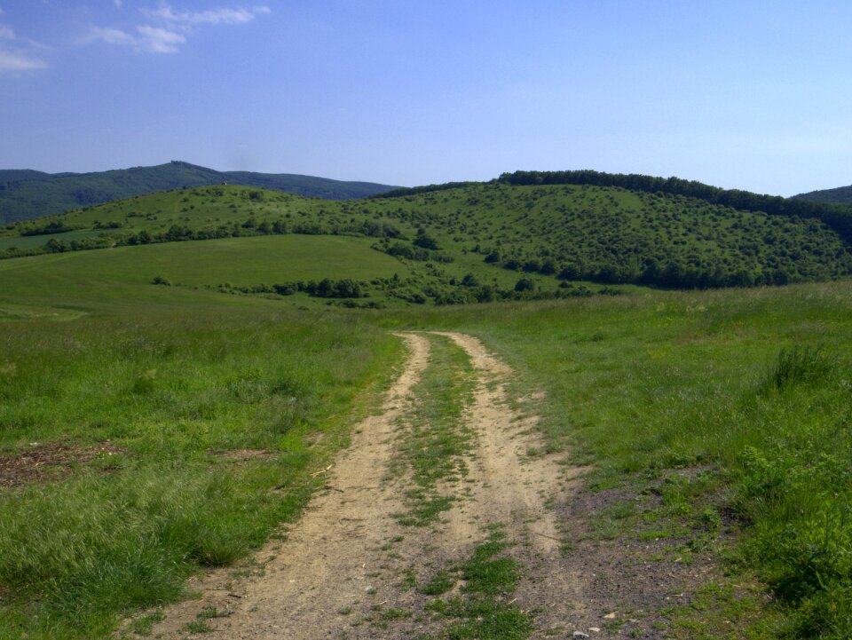 Nature forest mountains