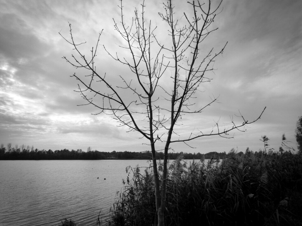 Autumn dark darkness