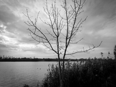 Autumn dark darkness