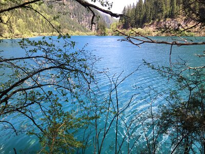 Jiuzhaigou sub-sea summer