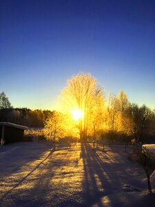 Winter snow cold