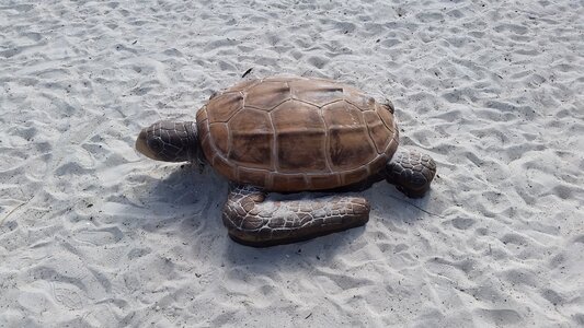 Sand ft myers beach