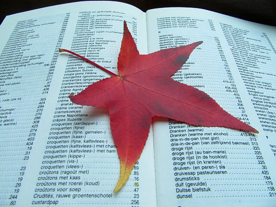 Drying fall colors season