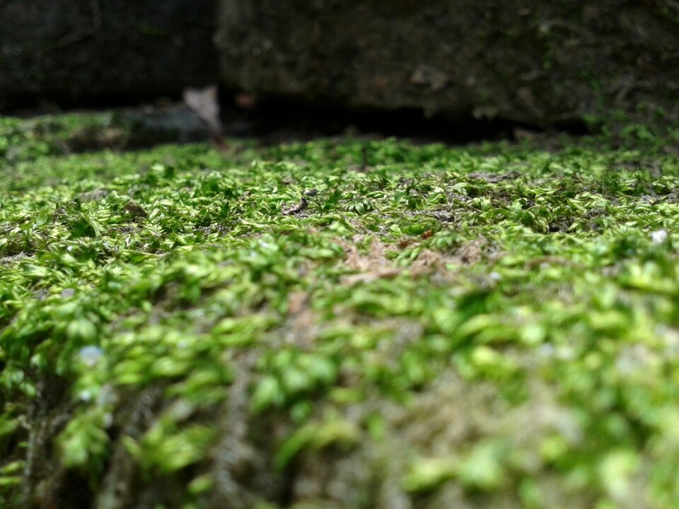 Rocks outdoor