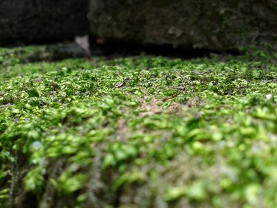 Rocks outdoor