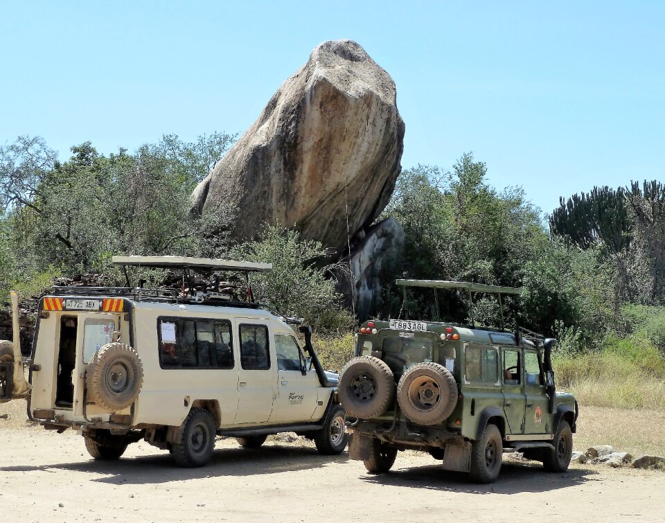 Safari wildlife watching tanzania