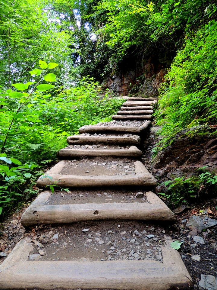 Staircase step pathway