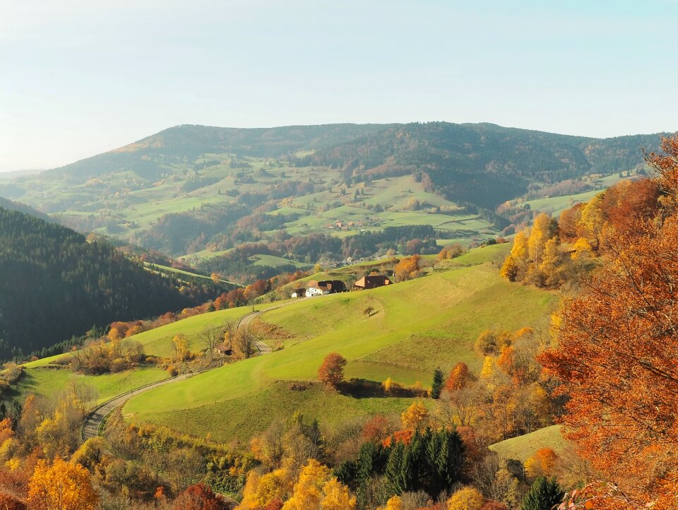 Mountains trees forest