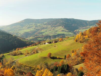 Mountains trees forest photo