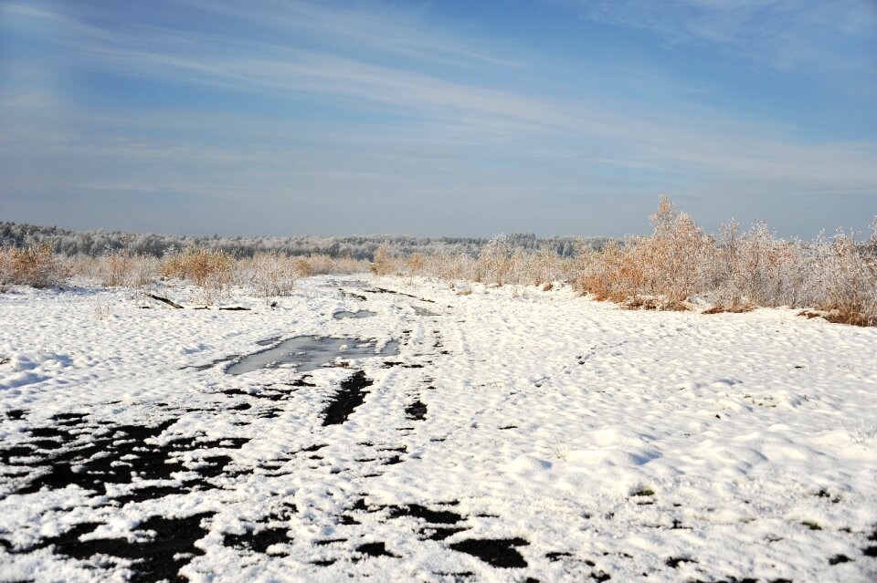 Snow hoarfrost trees