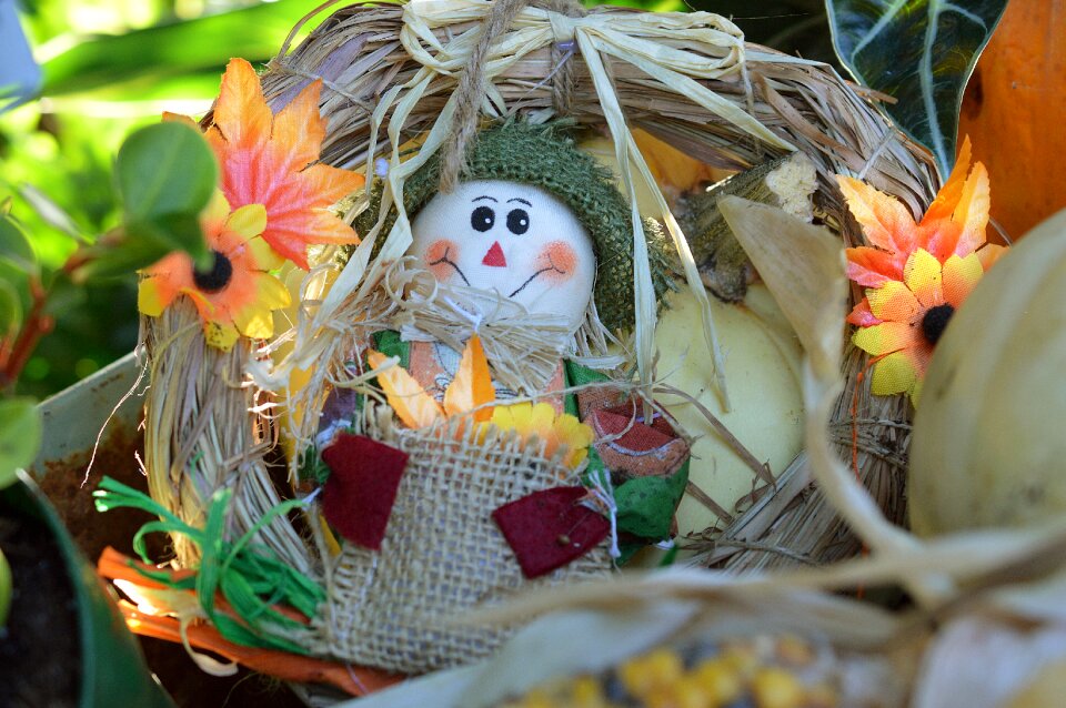Autumn fall harvest