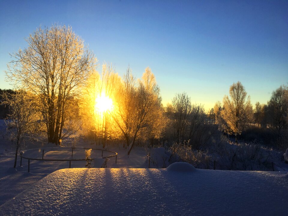 Winter snow cold