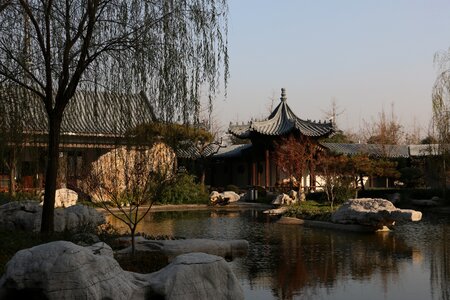 Garden background the scenery