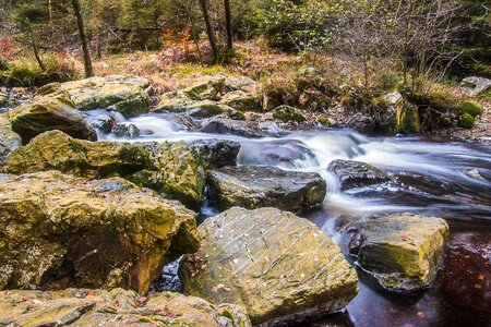 Flow idyllic waters photo