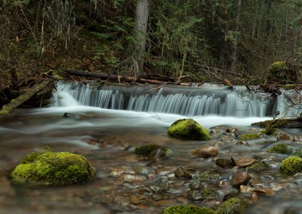 Green colour long exposure photo