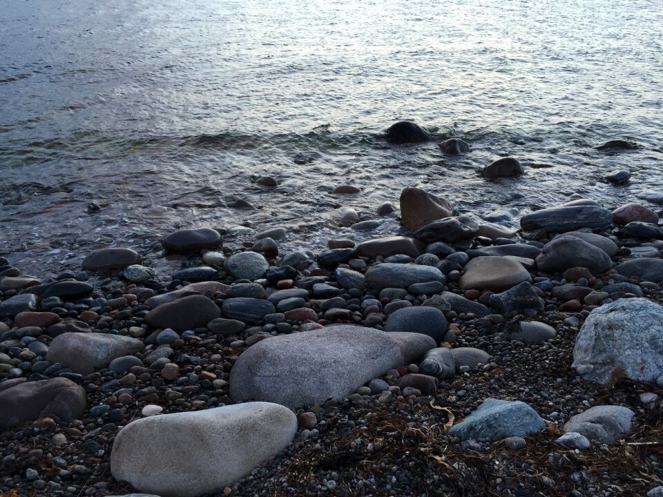 Sea nature water