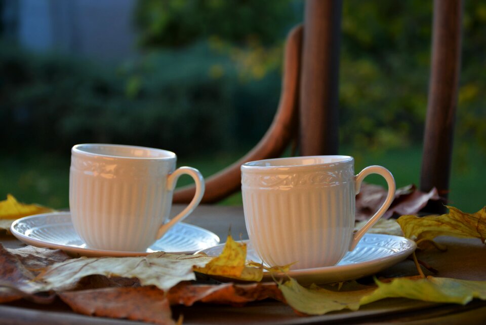 Mugs leaves colors