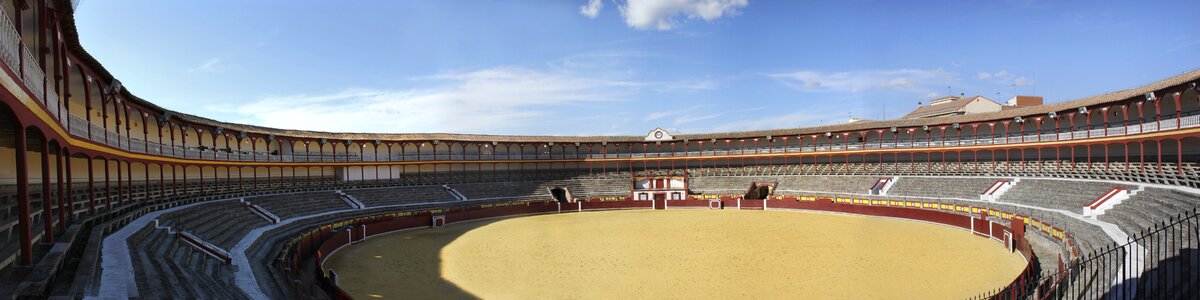 Panoramic plaza bulls