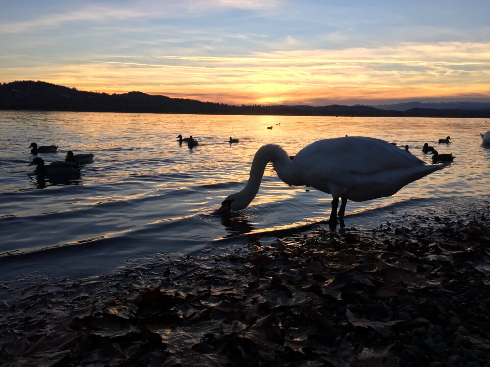 Lake landscape nature