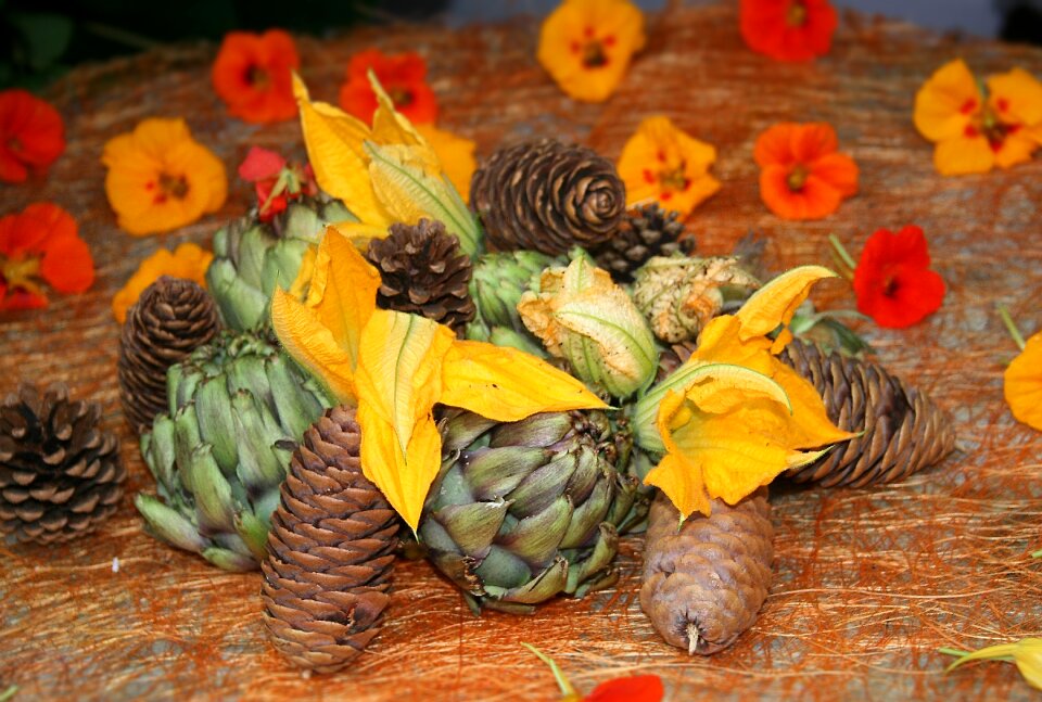 Ripe rural nature