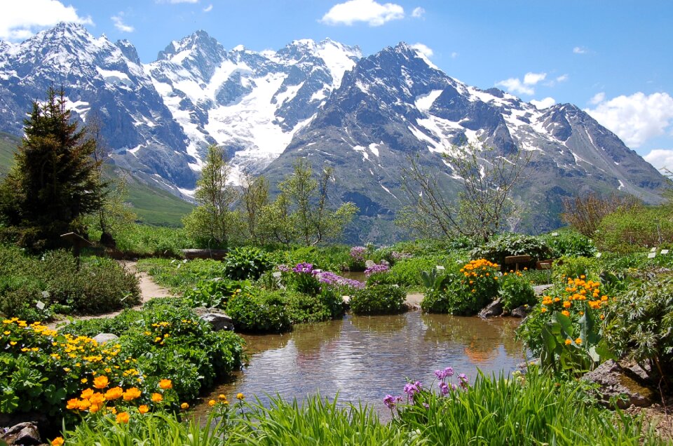 Garden alps botanical garden