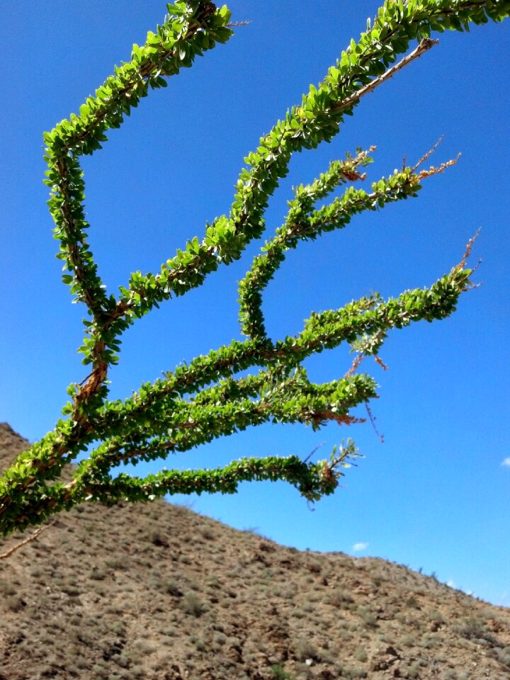 Southwest mountains
