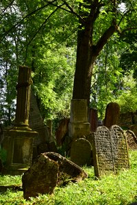 Jewish cemetery tombstone forest cemetery photo