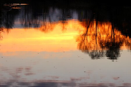 Sun landscape pond photo