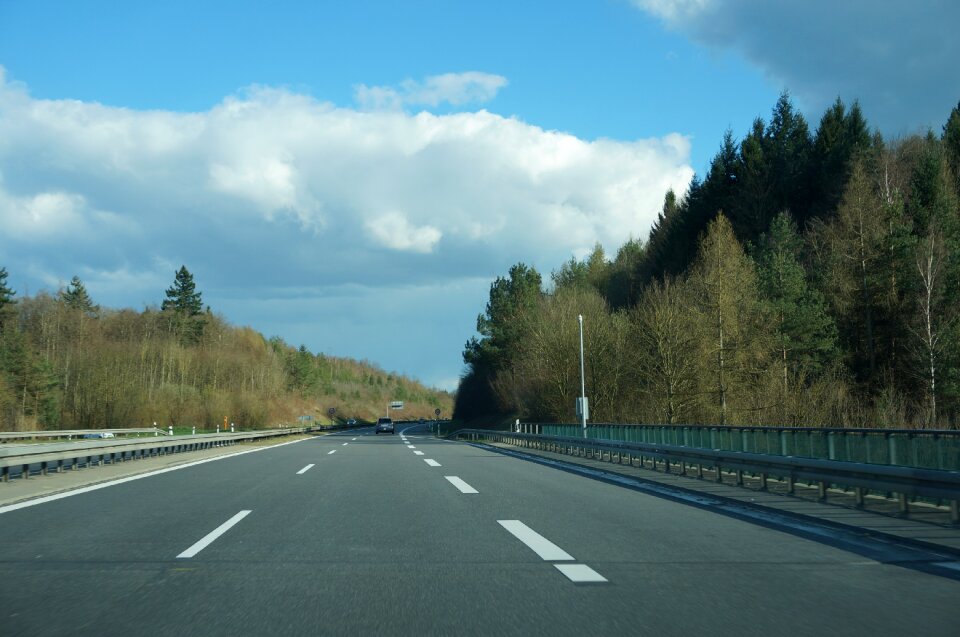 Road autumn forest