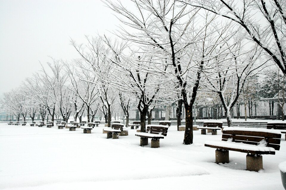 Snow sangam world cup park