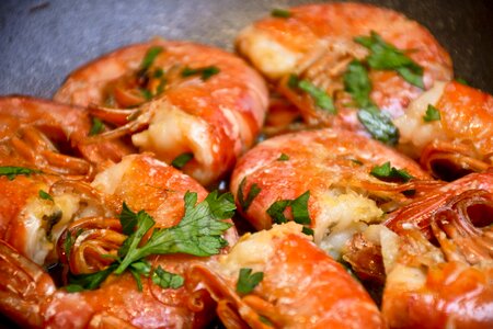 Fish appetizer grid