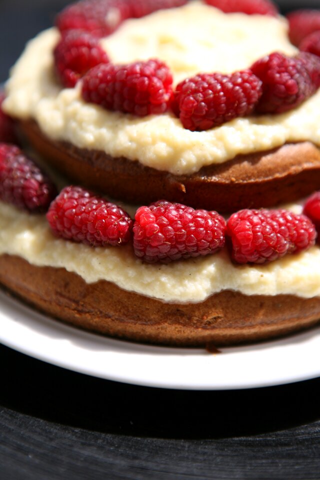 Sweet custard dessert