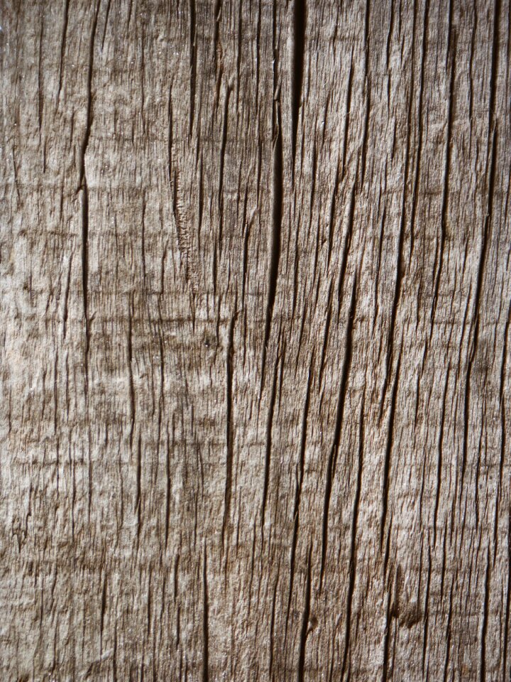 Pattern old spent